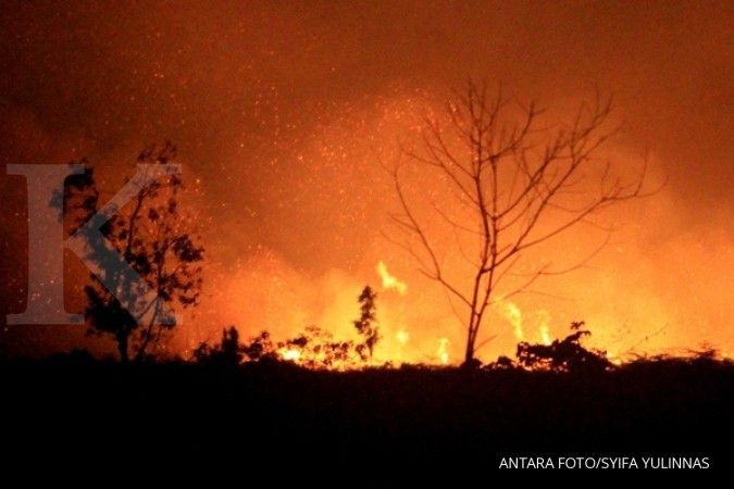BNPB: 843 hektare lahan di Riau telah terbakar