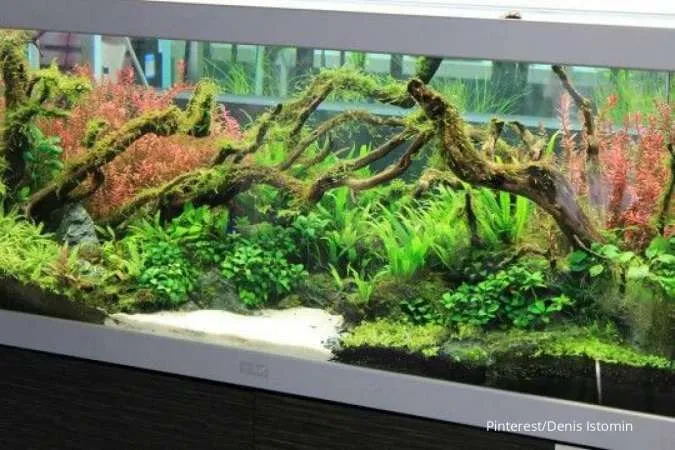 Aquascape Hutan