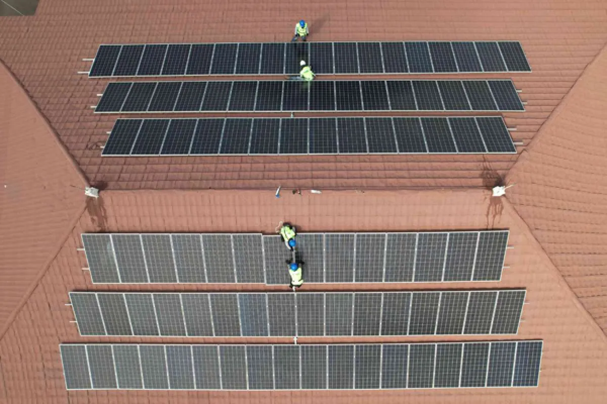 Transisi Energi Buka Peluang Penyerapan Green Jobs di Kawasan Rural