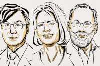 Daftar Pemenang Hadiah Nobel 2025 di Setiap Kategori