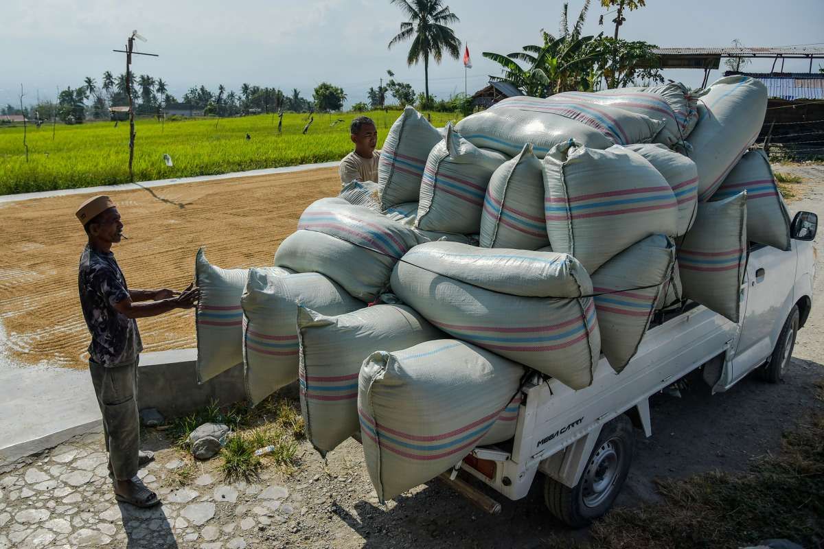 Pemerintah Usul Petani Mendapat BBM Subsidi
