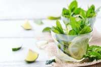 5 Tanaman Hias yang Tidak Disukai Nyamuk karena Aromanya 