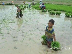 Pasar lelang beras diharapkan bantu petani