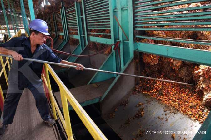 GAPKI memproyeksi produksi minyak sawit Indonesia capai 50 juta ton tahun ini