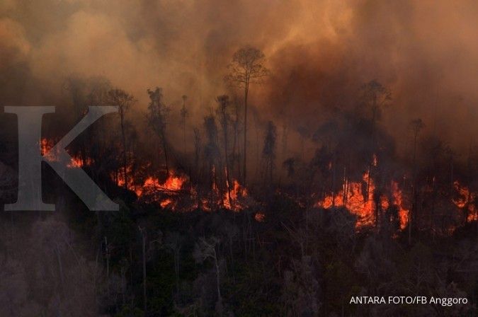 Jumlah titik api pemicu kebakaran hutan menurun