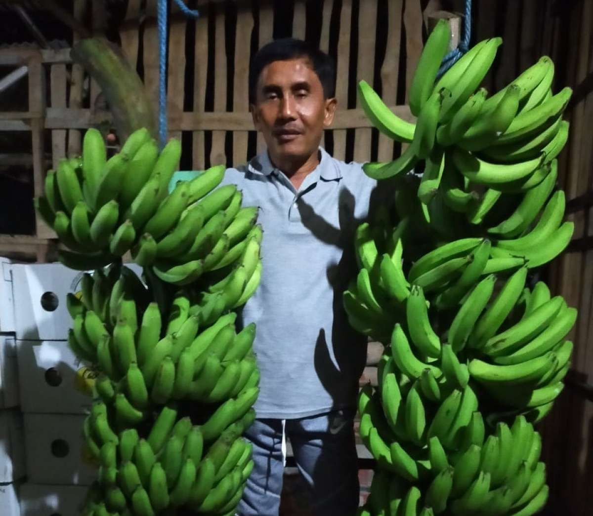 Waktu Muda Buruh Tambang, ketika Tua Raja Pisang