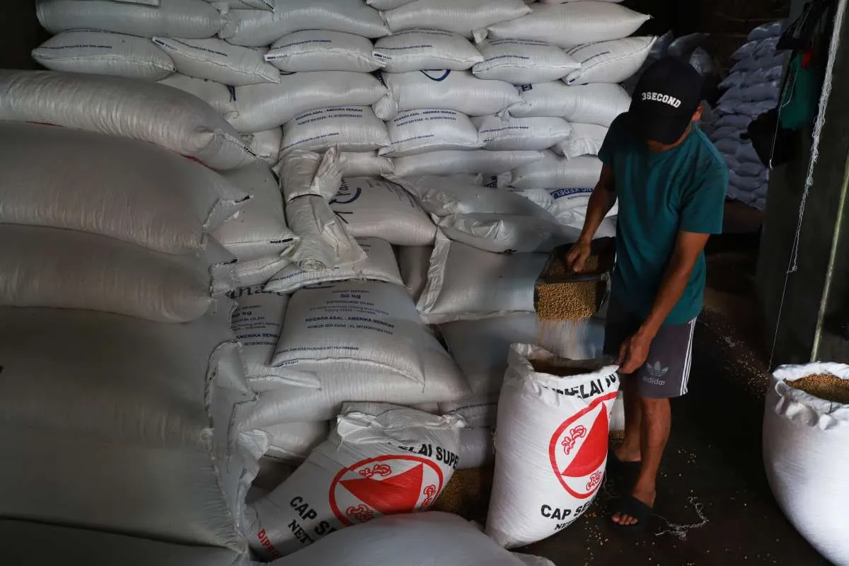 Amran Persilakan BUMN Pangan Impor Kedelai, Bulog: Kalau Diperintah Kami Berangkat
