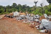 Prabowo Meminta Bahlil Cabut IUP di Hutan Lindung