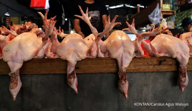 Cabai hingga Ayam Naik, Harga Pangan Terancam Bergejolak di Agustus Akibat El Nino