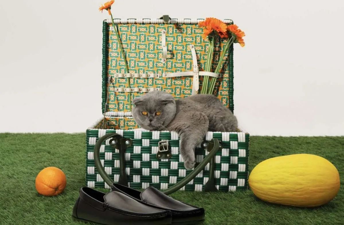 Bukan Sekadar Stylish, Pekerja Urban Kini Utamakan Sepatu yang Nyaman