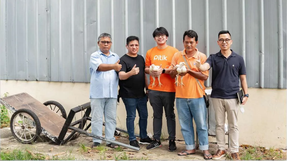 Tingkatkan Digitalisasi Peternak Ayam, Danamas Berkolaborasi dengan Pitik Digital