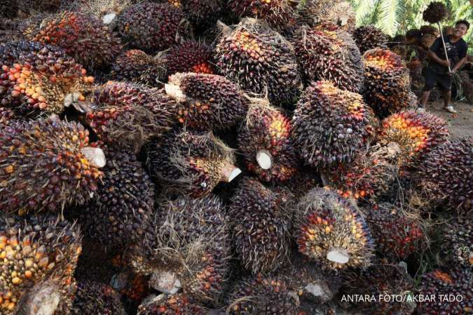 Harga Referensi CPO Oktober 2025 Naik Jadi US$ 963,61 per Metrik Ton