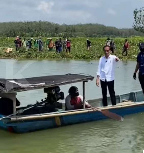 Tanam mangrove di Cilacap, Jokowi berharap tingkatkan pendapatan masyarakat