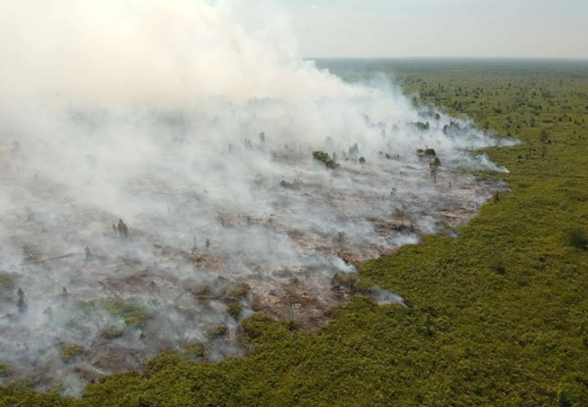 Lahan di sekitar objek wisata pantai di Bangka terbakar