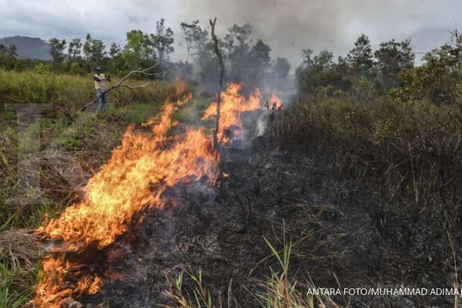 KLHK tetapkan AZ tersangka perusak hutan lindung di Bangka Tengah