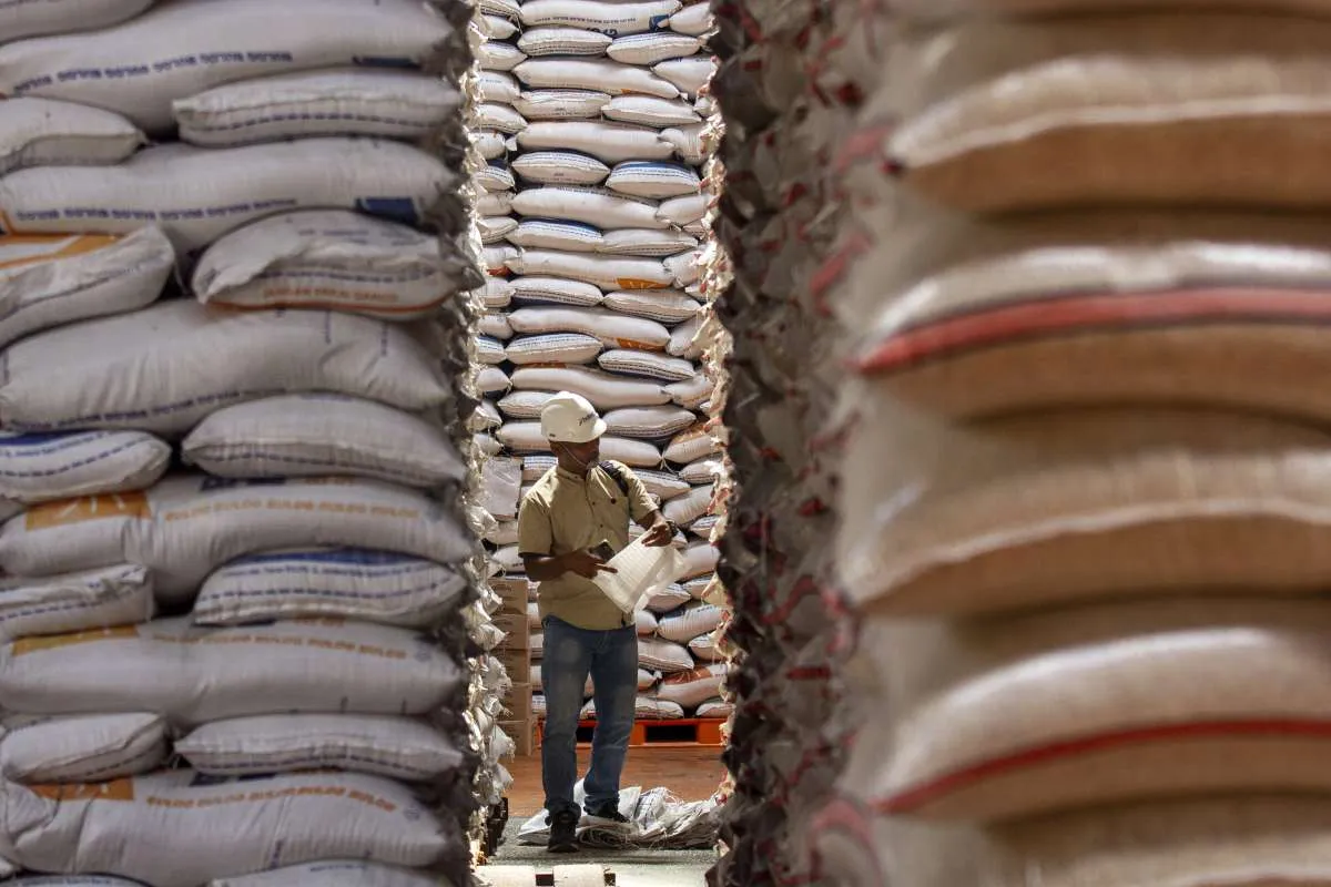 Pemerintah Klaim Tidak Ada Impor Beras, Tapi Data BPS Berkata Lain