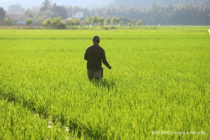 Upaya Menjaga Stabilitas Pasokan dan Harga Beras