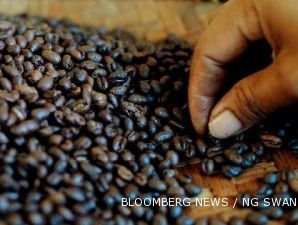 Harga kopi arabika dari Wamena naik 32,5%