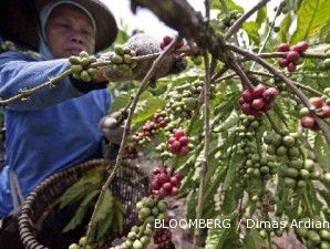 Produsen kopi kesulitan memenuhi permintaan kopi yang meningkat