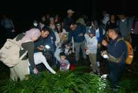 Eksplorasi Kunang-kunang Ungkap Kesehatan Ekosistem Kebun Raya Bali