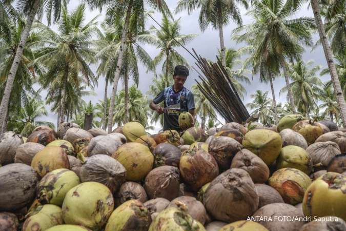 Asosiasi Petani Kelapa Dukung Hilirisasi Kelapa oleh Investor China di Morowali