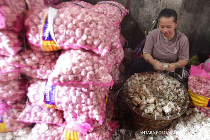 Harga bawang putih naik, pemerintah disarankan tidak bergantung dari impor China