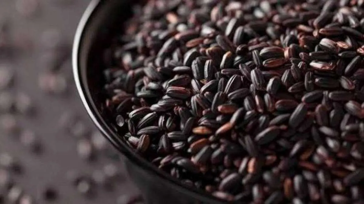 Segudang Manfaat Beras Hitam untuk Kesehatan, Salah Satunya Melindungi Jantung 