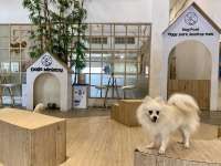 Produk Pet Insurance Kian Dilirik di Tengah Biaya Klik Hewan yang Mahal