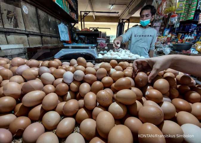 Cara Tepat Memilih Telur yang Berkualitas dan Tidak Busuk dengan Metode Sederhana