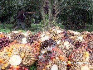 Spekulasi suplai naik, harga CPO terjungkal ke US$ 1.190,73 per ton