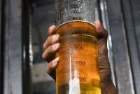 Kena Kasus MinyaKita, NIK Koperasi Produsen UMKM Kelompok Terpadu Nusantara Dicabut