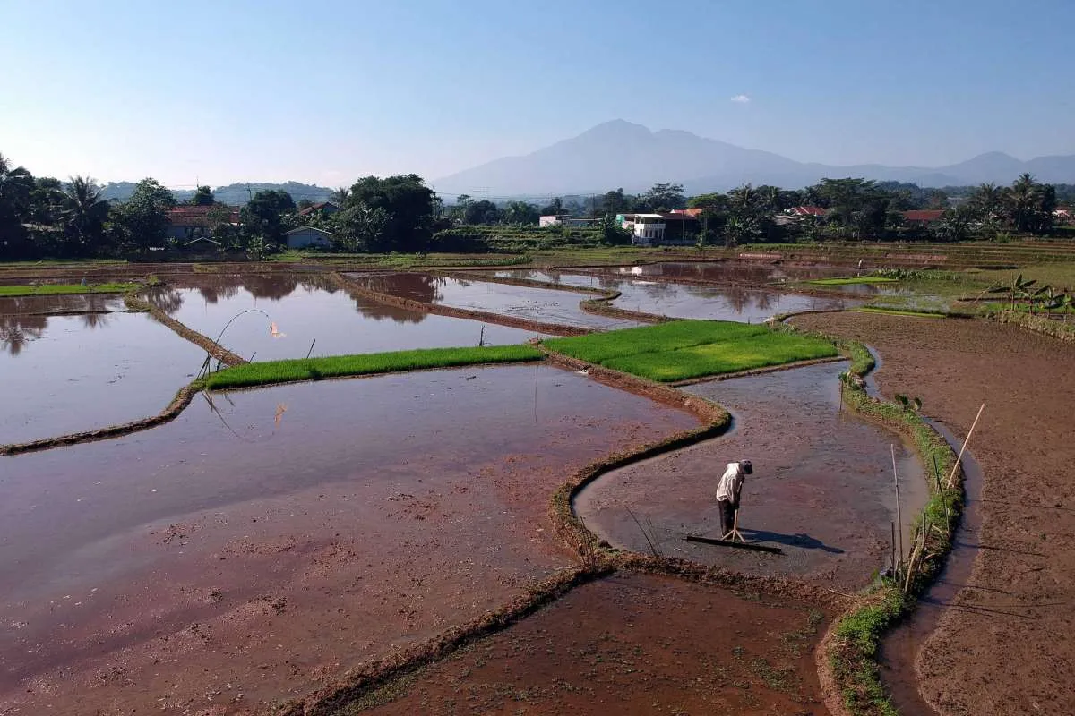 BSIP Diharapkan Mampu Dorong Produktivitas Pertanian Nasional