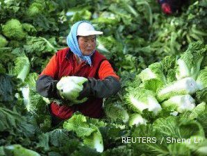 AESBI: Kualitas bibit sayur dan buah Indonesia rendah