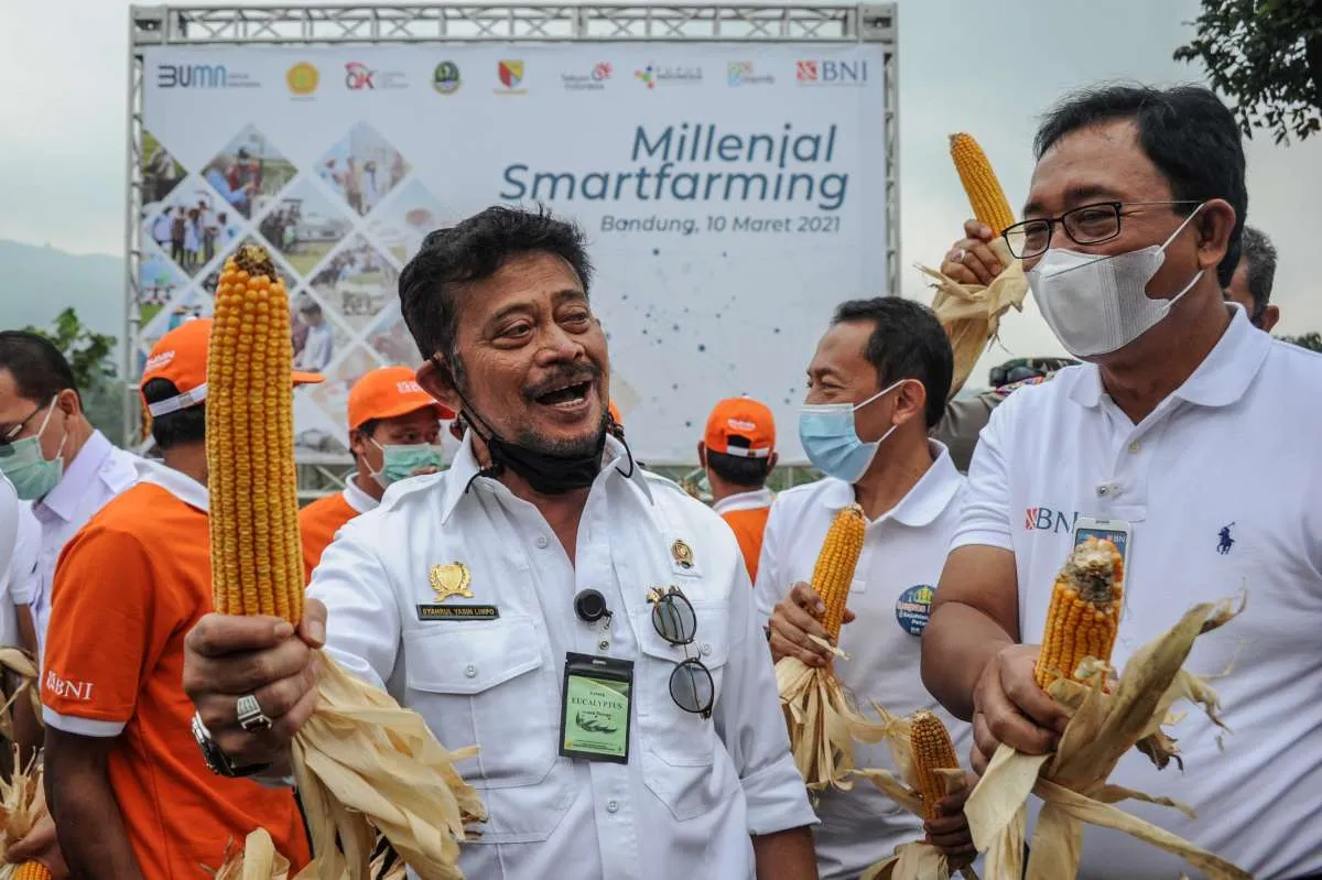 Pemerintah siapkan skema tekan harga jagung di level Rp 4.500 per kg