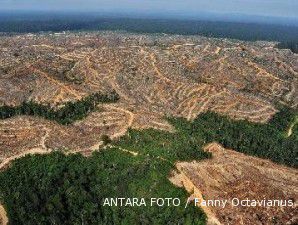 Tahun lalu, 700.000 hektare hutan dibabat pembalak liar