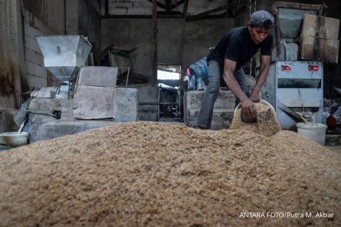 Program Pembelian Gabah Segala Kualitas Untungkan Petani, Bulog Perlu Perhatikan Ini