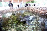 Libur Panjang Akhir 2025 Mulai Besok Kamis (25/12), Cek Tanggal Merah & Cuti Bersama