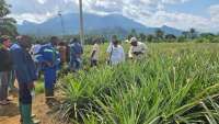 Turrima Agro Menjajaki Pengembangan Pabrik Pupuk Organik di Kamerun