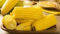 Ini Dia Manfaat Jagung Rebus untuk Diet Turunkan Berat Badan
