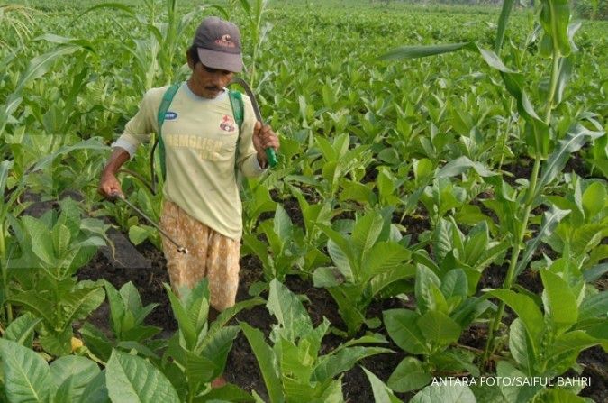 Petani desak pemerintah batasi impor tembakau