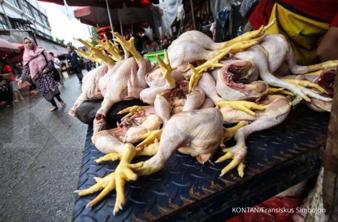 Harga ayam di Jateng dan Lampung lebih murah, ke mana arah harga di Jabodetabek?
