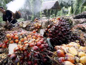 Penjualan Minyak Sawit BW Plantation Naik 36,6%