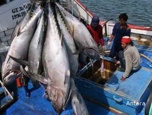 Pemerintah Lobi Jepang Turunkan BM Impor Tuna 