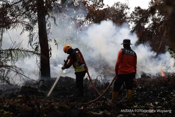 Memburu Korporasi yang Menjadi Dalang Karhutla