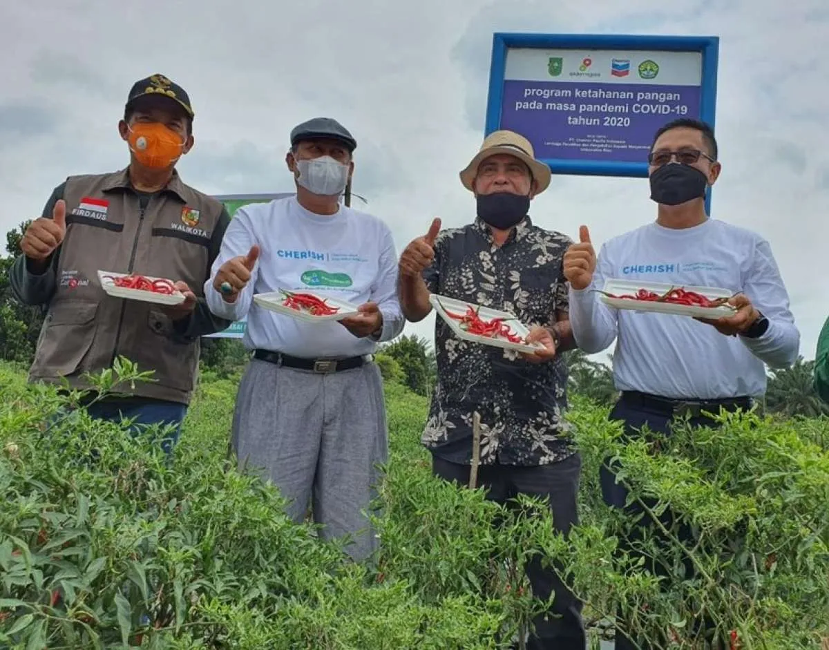 Bantu tanggulangi pandemi, Chevron Pacific Indonesia luncurkan program Cherish
