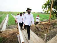 Antisipasi krisis pangan, pemerintah dorong perkuat koperasi pangan