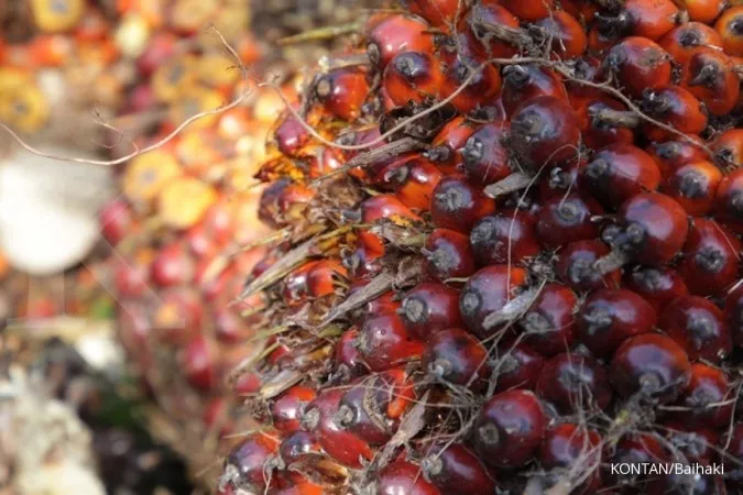 Crude palm oil seen capped at 3,300 ringgit for next 6 months