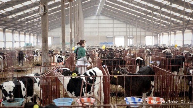 Fonterra memperkuat bisnis susu di Indonesia