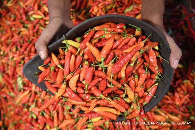 BPS: Kenaikan Harga Cabai Rawit, Minyak Goreng dan Beras Perlu Diwaspadai