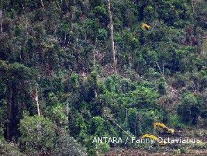 Selama moratorium, pemerintah daerah dilarang terbitkan izin pengelolaan hutan